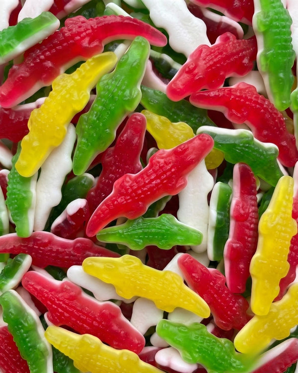 Timsahlar (500g)