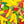 12 x Bunte Dose (300g)