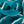 Blauwe haaien (500g)